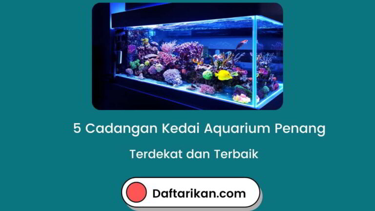 Kedai Aquarium Penang