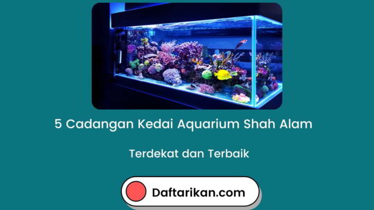 Kedai Aquarium Shah Alam Terdekat dan Terbaik