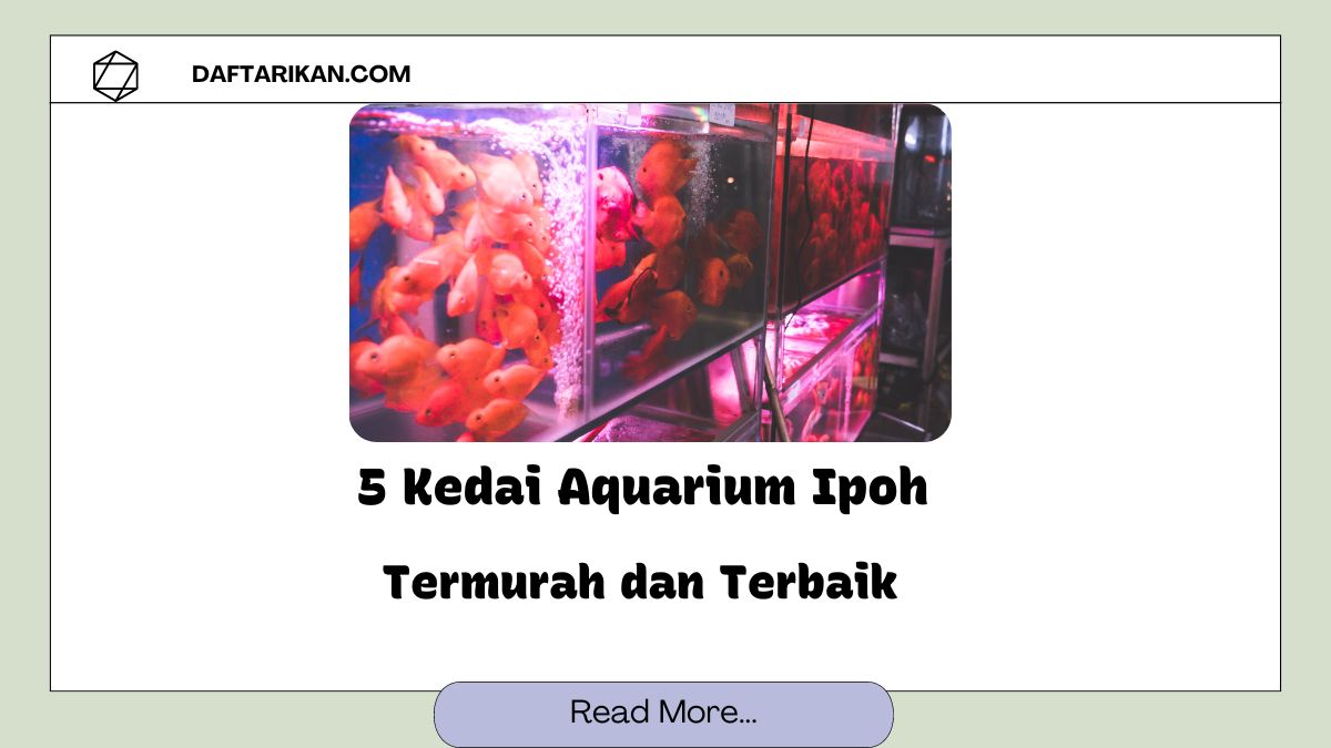 Kedai Aquarium Ipoh