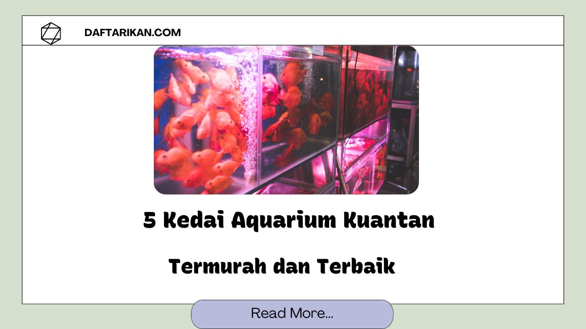 Kedai Aquarium Kuantan