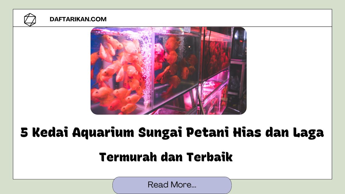 Kedai Aquarium Sungai Petani