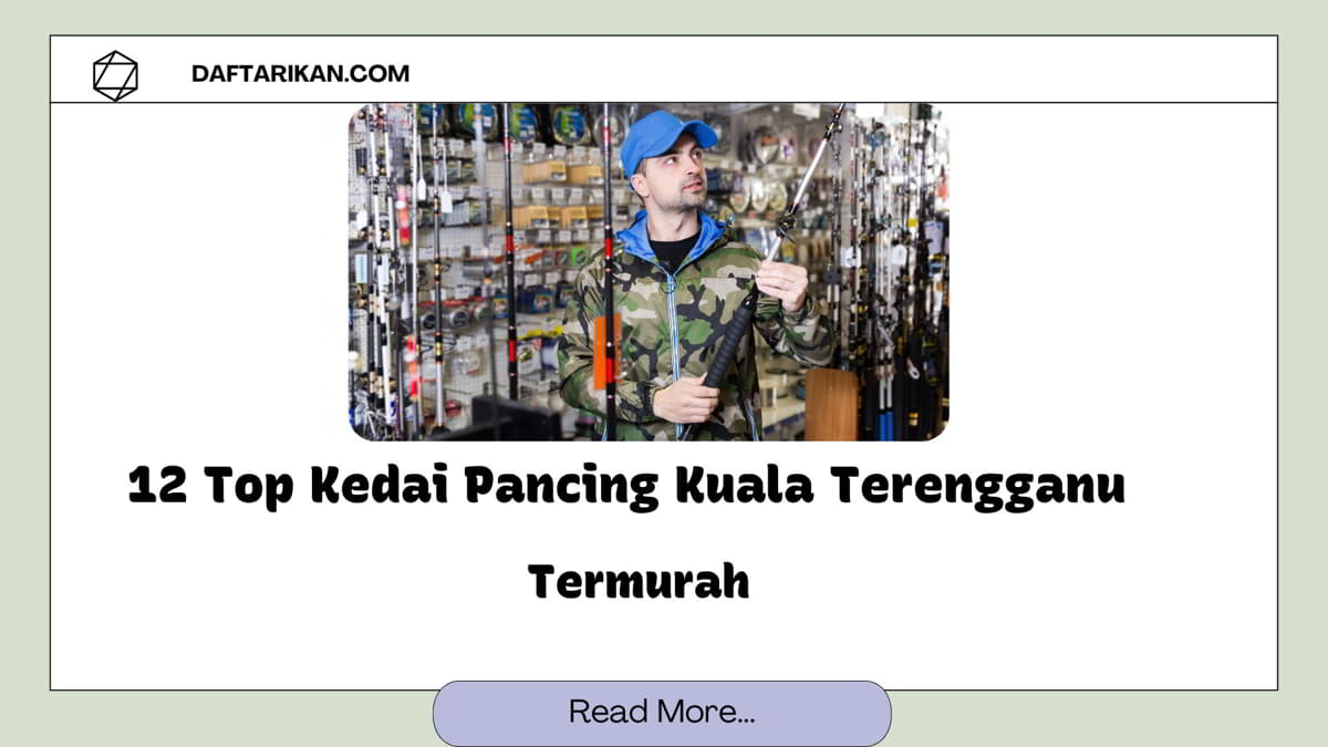 Kedai Pancing Kuala Terengganu