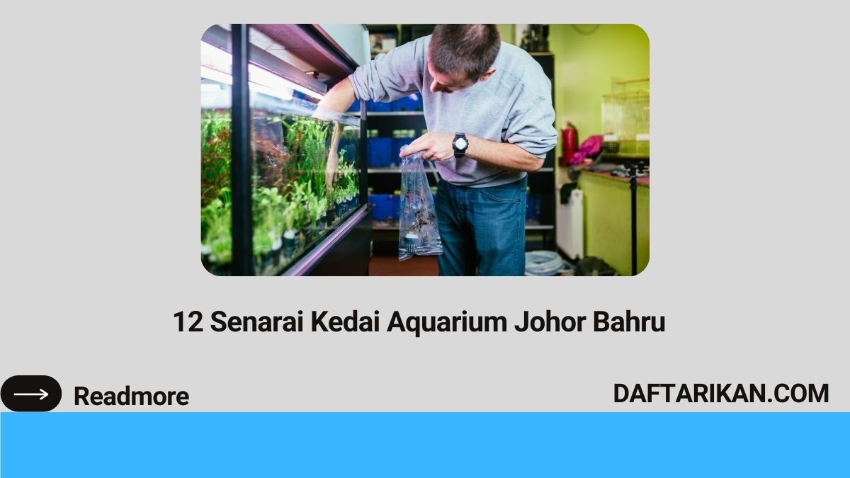 12 Senarai Kedai Aquarium Johor Bahru