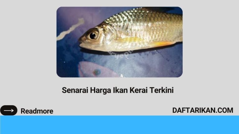 Harga Ikan Kerai