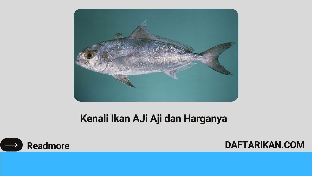 Kenali Ikan AJi Aji dan Harganya